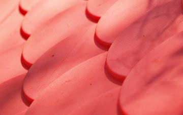 Nethertown plastic roof costs